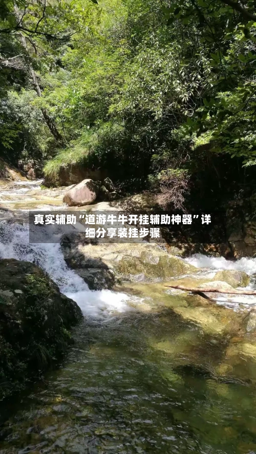 真实辅助“道游牛牛开挂辅助神器”详细分享装挂步骤-第2张图片