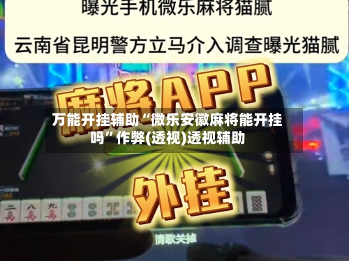 万能开挂辅助“微乐安徽麻将能开挂吗	”作弊(透视)透视辅助-第2张图片