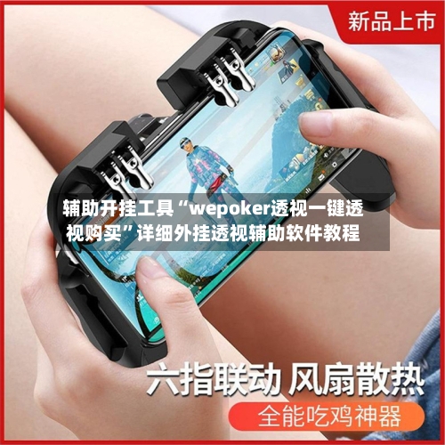 辅助开挂工具“wepoker透视一键透视购买”详细外挂透视辅助软件教程-第3张图片