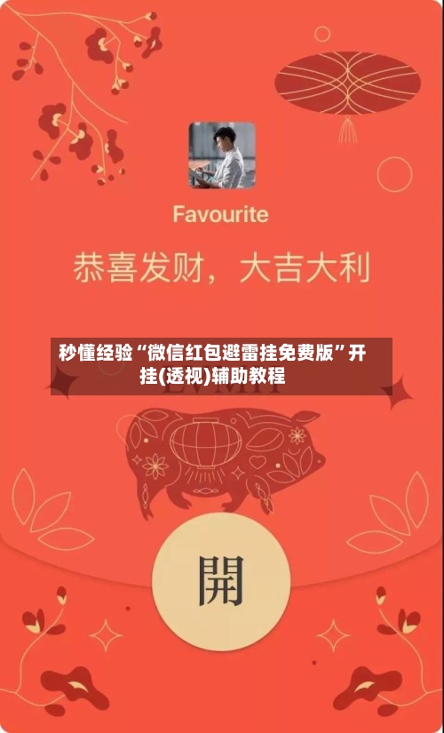 秒懂经验“微信红包避雷挂免费版”开挂(透视)辅助教程