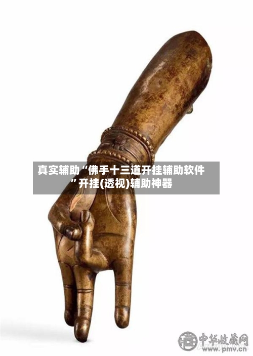 真实辅助“佛手十三道开挂辅助软件”开挂(透视)辅助神器-第2张图片