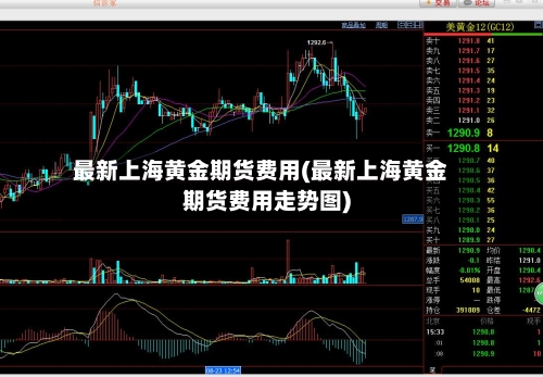 最新上海黄金期货费用(最新上海黄金期货费用走势图)-第3张图片