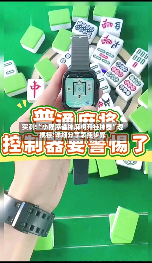 实测!“小程序雀神麻将开挂神器”透视挂!详细分享装挂步骤-第3张图片