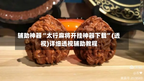 辅助神器“太行麻将开挂神器下载”(透视)详细透视辅助教程-第3张图片