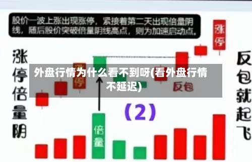 外盘行情为什么看不到呀(看外盘行情不延迟)-第2张图片