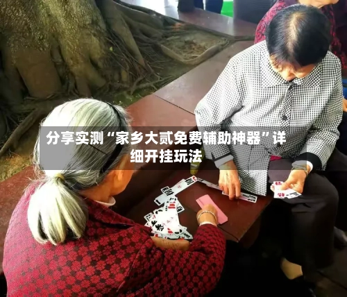 分享实测“家乡大贰免费辅助神器”详细开挂玩法