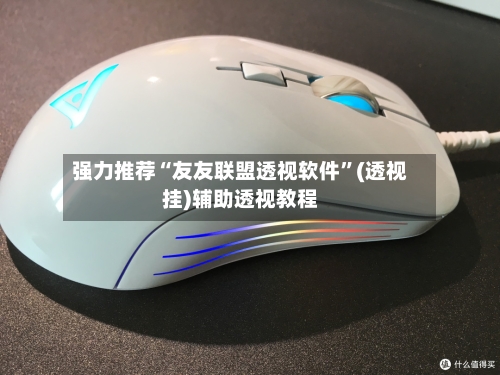 强力推荐“友友联盟透视软件	”(透视挂)辅助透视教程-第2张图片