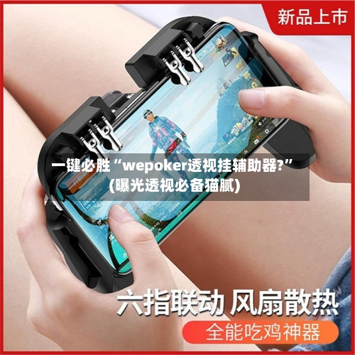 一键必胜“wepoker透视挂辅助器?”(曝光透视必备猫腻)-第3张图片