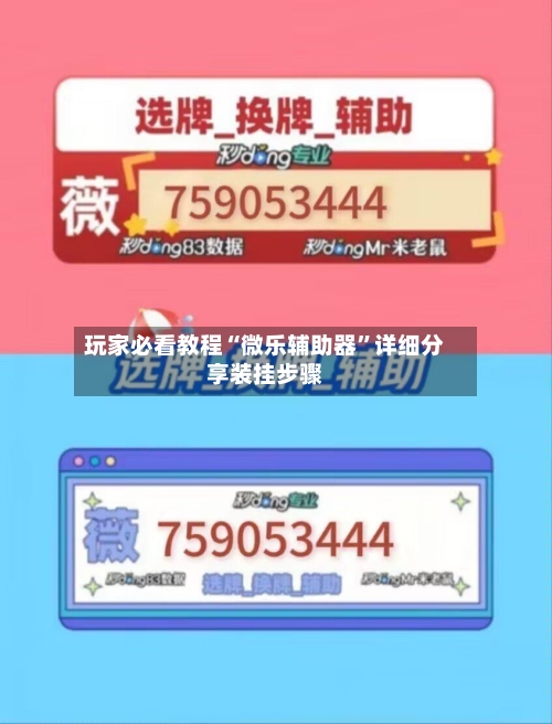 玩家必看教程“微乐辅助器”详细分享装挂步骤-第2张图片