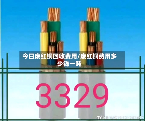今日废红铜回收费用/废红铜费用多少钱一吨