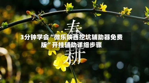 3分钟学会“微乐陕西挖坑辅助器免费版”开挂辅助详细步骤-第3张图片