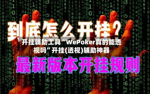 开挂辅助工具“WePoker真的能透视吗”开挂(透视)辅助神器-第3张图片