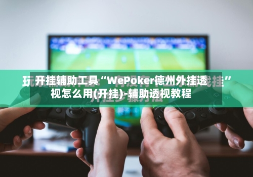 开挂辅助工具“WePoker德州外挂透视怎么用(开挂)-辅助透视教程-第3张图片