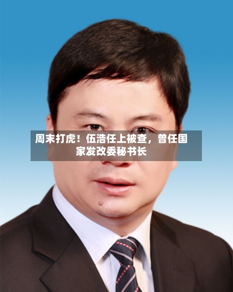 周末打虎！伍浩任上被查	，曾任国家发改委秘书长-第2张图片