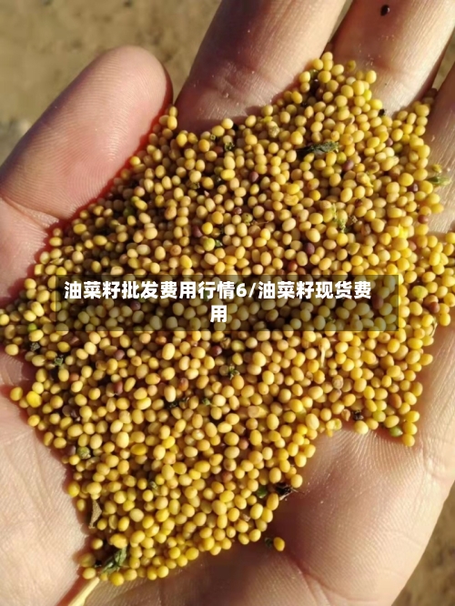 油菜籽批发费用行情6/油菜籽现货费用-第2张图片