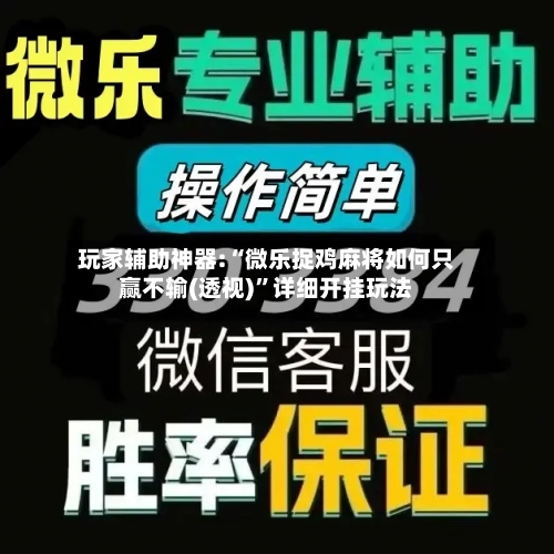 玩家辅助神器:“微乐捉鸡麻将如何只赢不输(透视)”详细开挂玩法-第2张图片