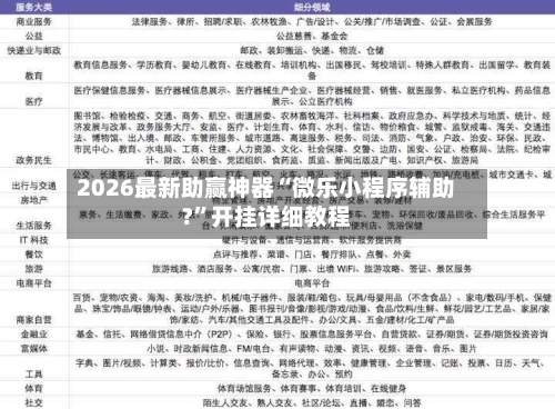 2026最新助赢神器“微乐小程序辅助?”开挂详细教程-第3张图片