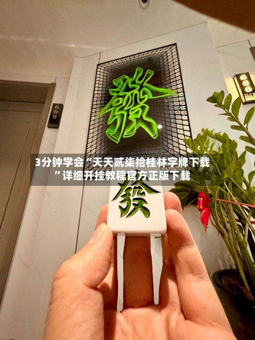 3分钟学会“天天贰柒拾桂林字牌下载”详细开挂教程官方正版下载-第2张图片