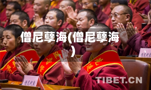 僧尼孽海(僧尼孽海)