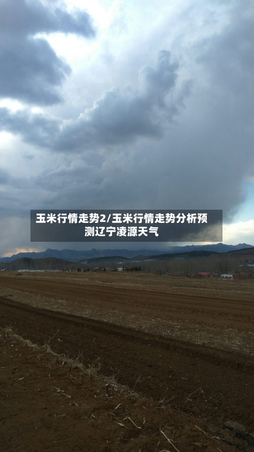 玉米行情走势2/玉米行情走势分析预测辽宁凌源天气-第2张图片