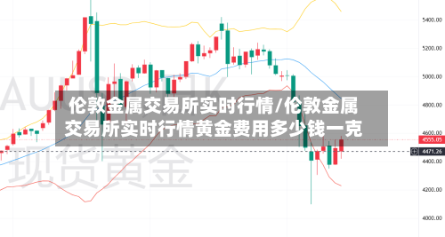 伦敦金属交易所实时行情/伦敦金属交易所实时行情黄金费用多少钱一克