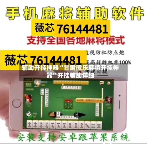 辅助开挂神器“甘肃微乐麻将开挂神器”开挂辅助详细-第2张图片