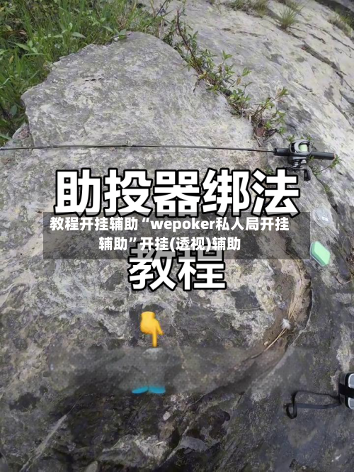 教程开挂辅助“wepoker私人局开挂辅助”开挂(透视)辅助-第2张图片