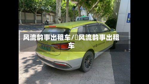 风流韵事出租车/ 风流韵事出租车-第2张图片