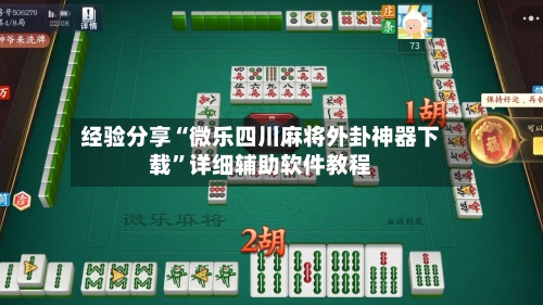 经验分享“微乐四川麻将外卦神器下载”详细辅助软件教程-第2张图片