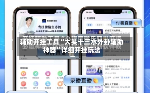 辅助开挂工具“大头十三水外卦辅助神器”详细开挂玩法-第3张图片