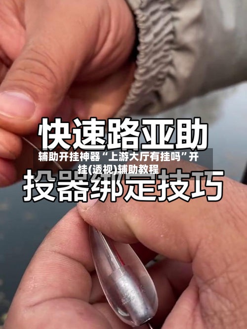 辅助开挂神器“上游大厅有挂吗”开挂(透视)辅助教程-第2张图片