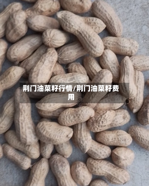 荆门油菜籽行情/荆门油菜籽费用-第3张图片