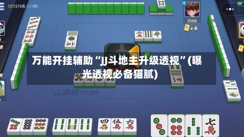 万能开挂辅助“JJ斗地主升级透视”(曝光透视必备猫腻)