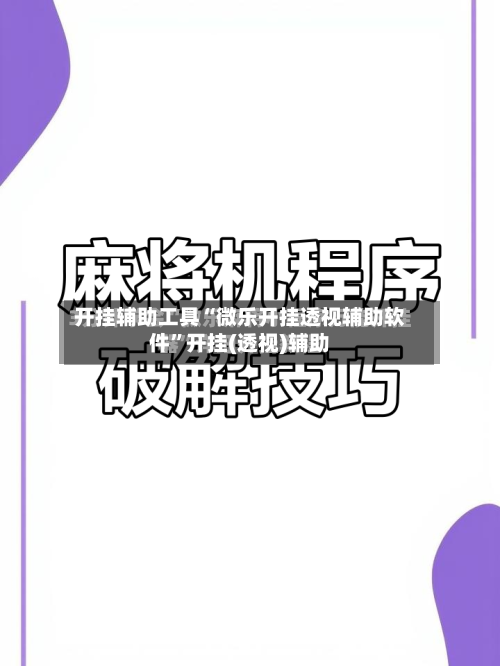 开挂辅助工具“微乐开挂透视辅助软件”开挂(透视)辅助-第2张图片