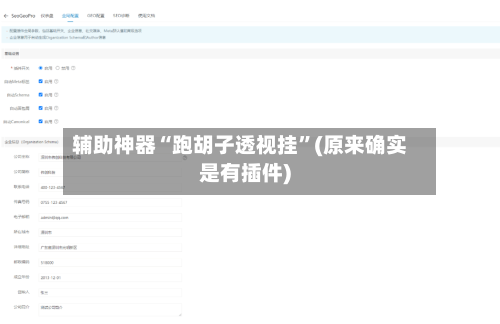 辅助神器“跑胡子透视挂	”(原来确实是有插件)-第2张图片