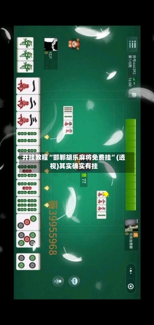 开挂教程“邯郸胡乐麻将免费挂”(透视)其实确实有挂