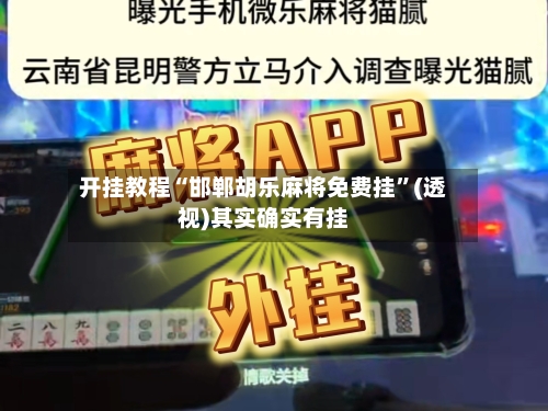 开挂教程“邯郸胡乐麻将免费挂”(透视)其实确实有挂-第3张图片