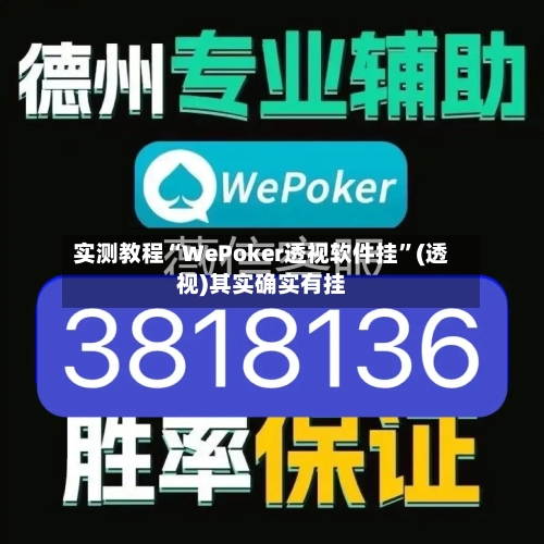 实测教程“WePoker透视软件挂	”(透视)其实确实有挂-第2张图片