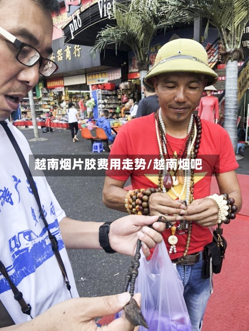 越南烟片胶费用走势/越南烟吧