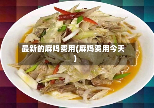 最新的麻鸡费用(麻鸡费用今天)-第2张图片