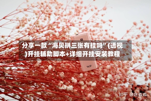 分享一款“海贝拼三张有挂吗”(透视)开挂辅助脚本+详细开挂安装教程-第2张图片