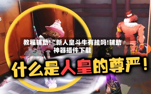 教程辅助!“新人皇斗牛有挂吗!辅助神器插件下载-第3张图片