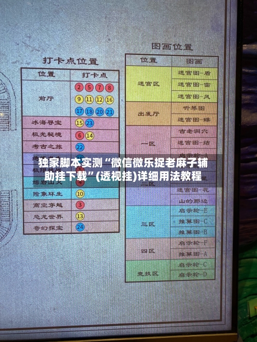 独家脚本实测“微信微乐捉老麻子辅助挂下载	”(透视挂)详细用法教程-第3张图片