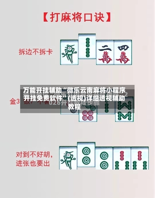 万能开挂辅助“微乐云南麻将小程序开挂免费软件”(透视)详细透视辅助教程-第3张图片