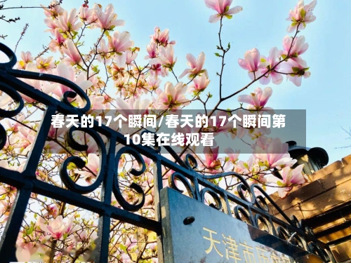 春天的17个瞬间/春天的17个瞬间第10集在线观看-第2张图片