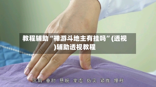 教程辅助“禅游斗地主有挂吗”(透视)辅助透视教程-第2张图片