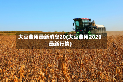 大豆费用最新消息20(大豆费用2020最新行情)