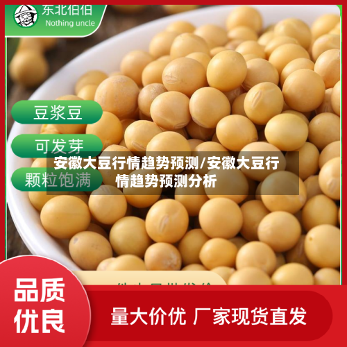 安徽大豆行情趋势预测/安徽大豆行情趋势预测分析