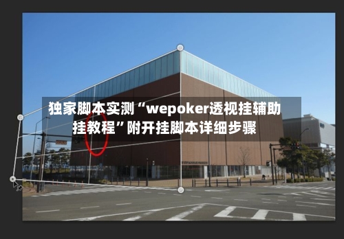 独家脚本实测“wepoker透视挂辅助挂教程”附开挂脚本详细步骤-第2张图片