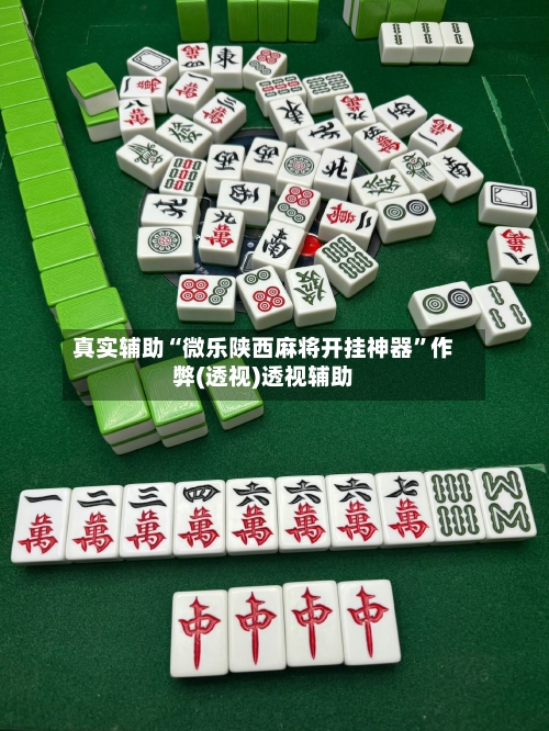 真实辅助“微乐陕西麻将开挂神器”作弊(透视)透视辅助-第2张图片